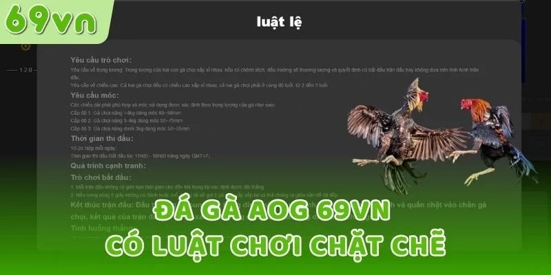 Đá gà AOG 69VN có luật chơi chặt chẽ