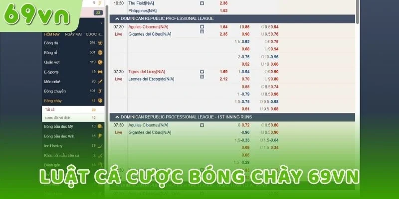 Luật cược cá cược bóng chày 69VN