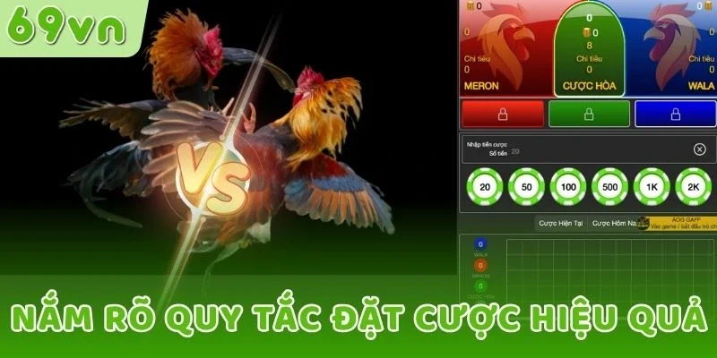 Nắm rõ quy tắc đặt cược hiệu quả