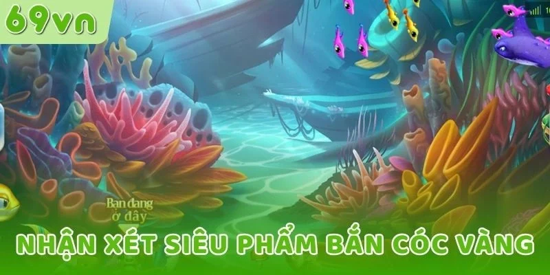Nhận xét siêu phẩm Bắn Cóc Vàng