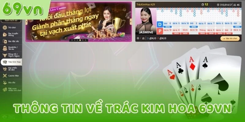 Thông tin về Trác Kim Hoa 69VN