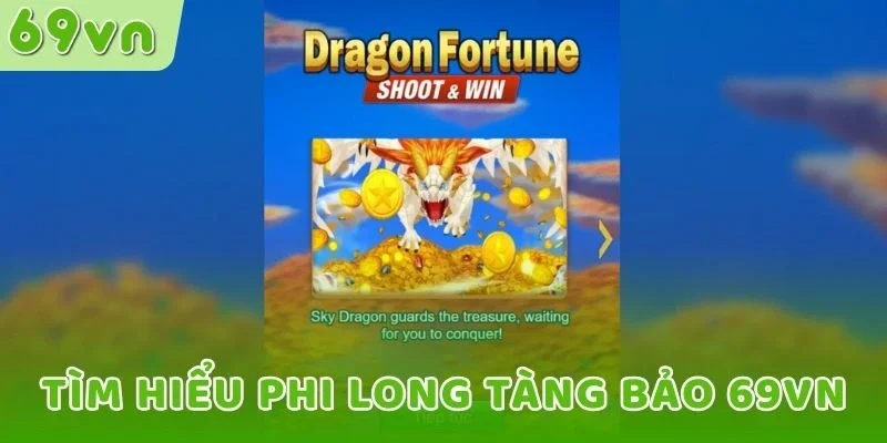 Tìm hiểu Phi Long Tàng Bảo 69VN