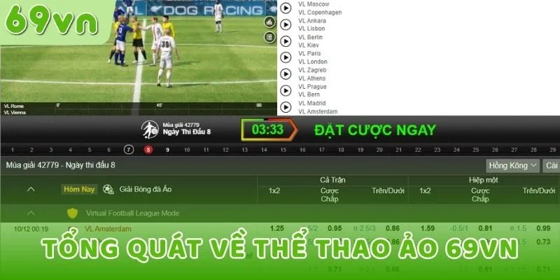 Tổng quát về thể thao ảo 69VN