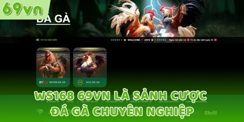 WS168 69VN là sảnh cược đá gà chuyên nghiệp