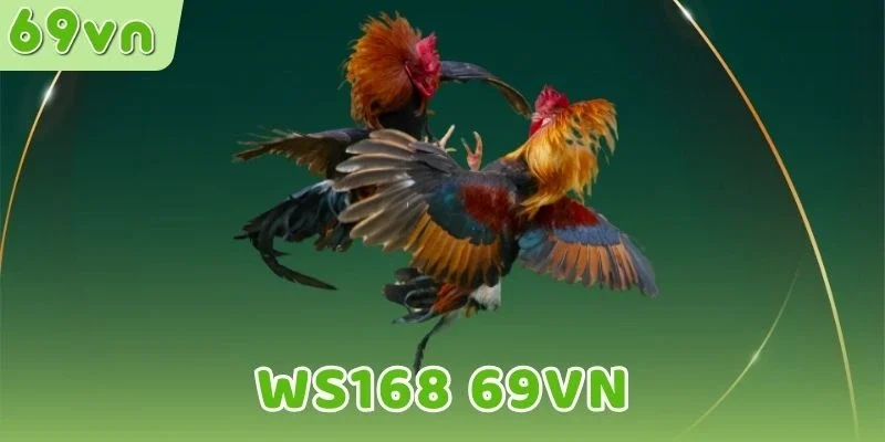 Xem bảng kèo chọn cửa hợp lý